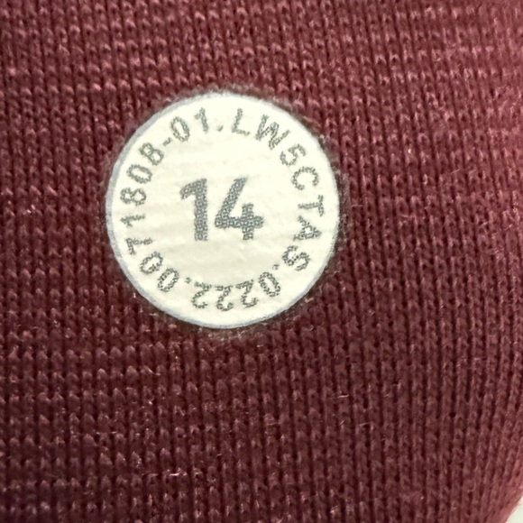 Lululemon Align High-Rise Pant 25"
Red Merlot 14 - Picture 8 of 10